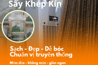 Bánh Đa Nem Hà Tĩnh Greenlife – Bánh Ram Truyền Thống Sấy Hút Ẩm Mùa Mưa