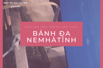 Con Lăn Dầu Trong Sản Xuất Bánh Đa Nem Hà Tĩnh – Giải Pháp Tiết Kiệm Dầu, Nâng Cao Chất Lượng