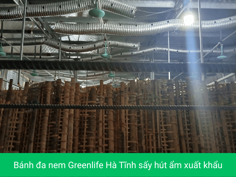 Bánh đa nem Greenlife Hà Tĩnh sấy hút ẩm xuất khẩu